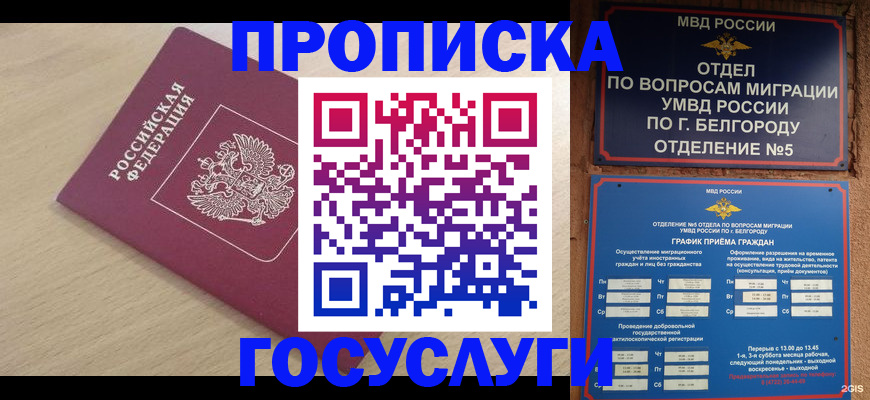 прописка законно в Борзе